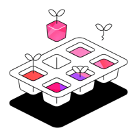 ICON-seedlings