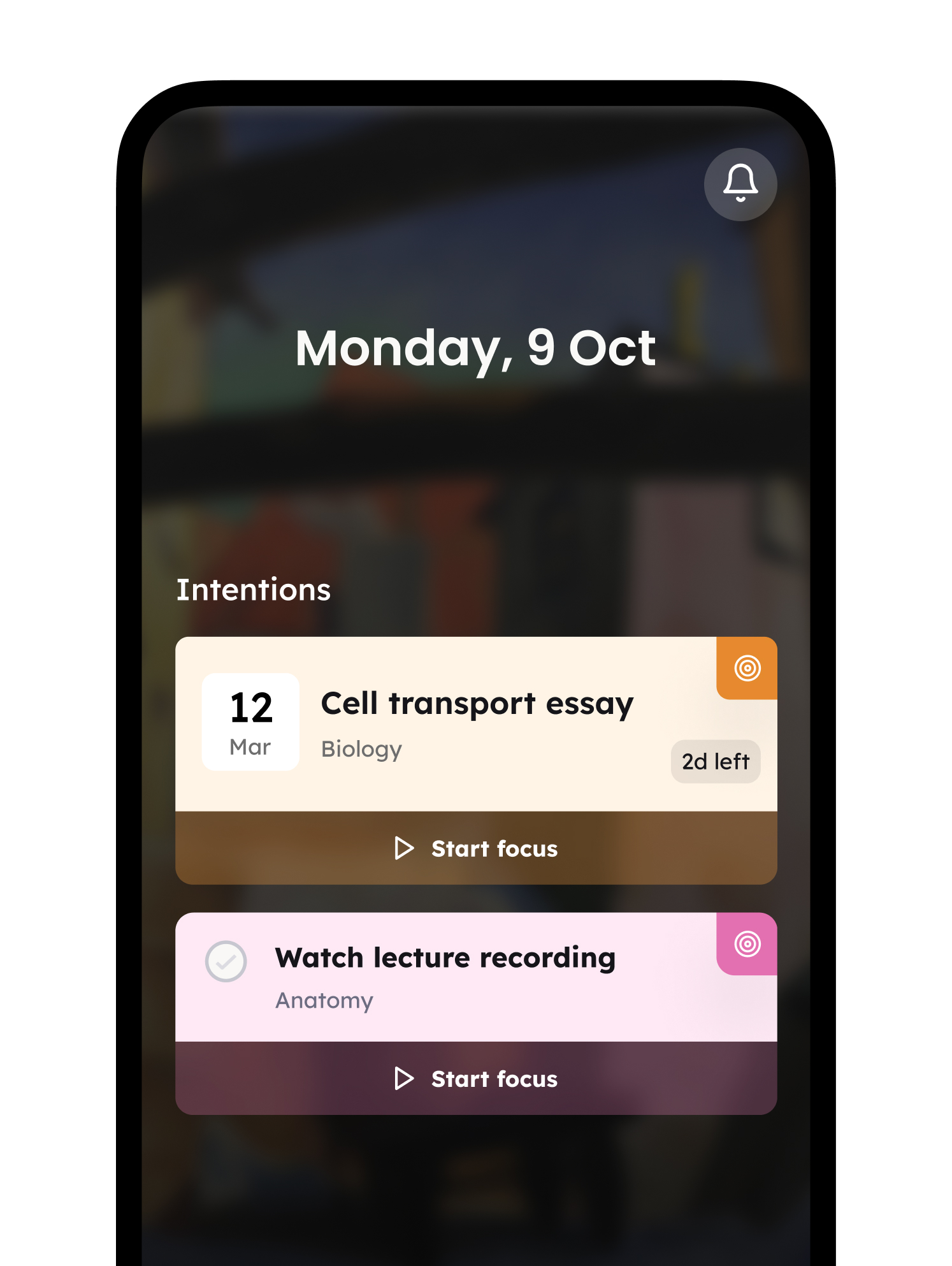 Focus dashboard intentions