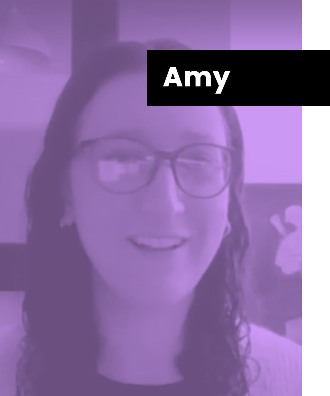 USER STORIES amy