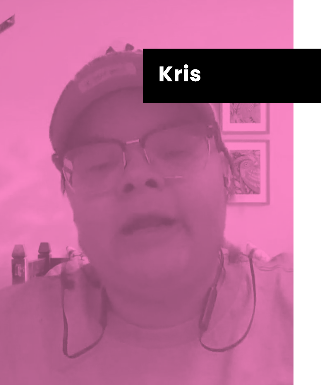 USER STORIES kris